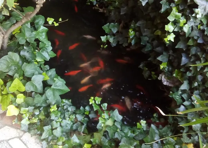 Διαμέρισμα Pan-rab