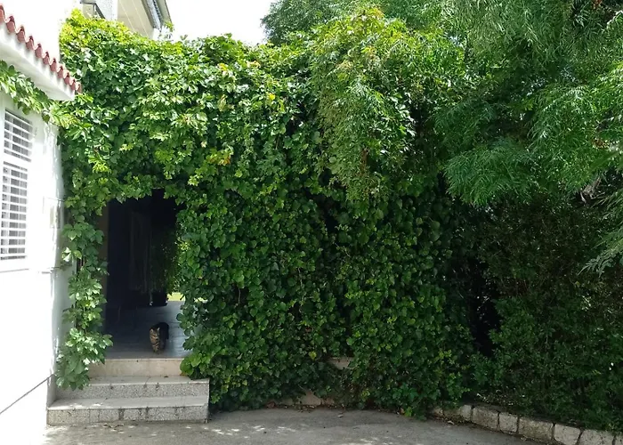 Pan-rab Διαμέρισμα *